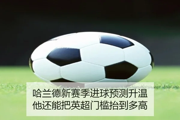 哈兰德新赛季进球预测升温 他还能把英超门槛抬到多高